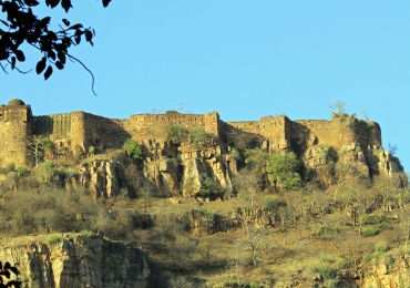 Jaipur Ranthambhore Tour Package